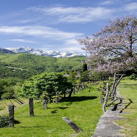 Residenza La Serenata Cavigliano Exteriör bild