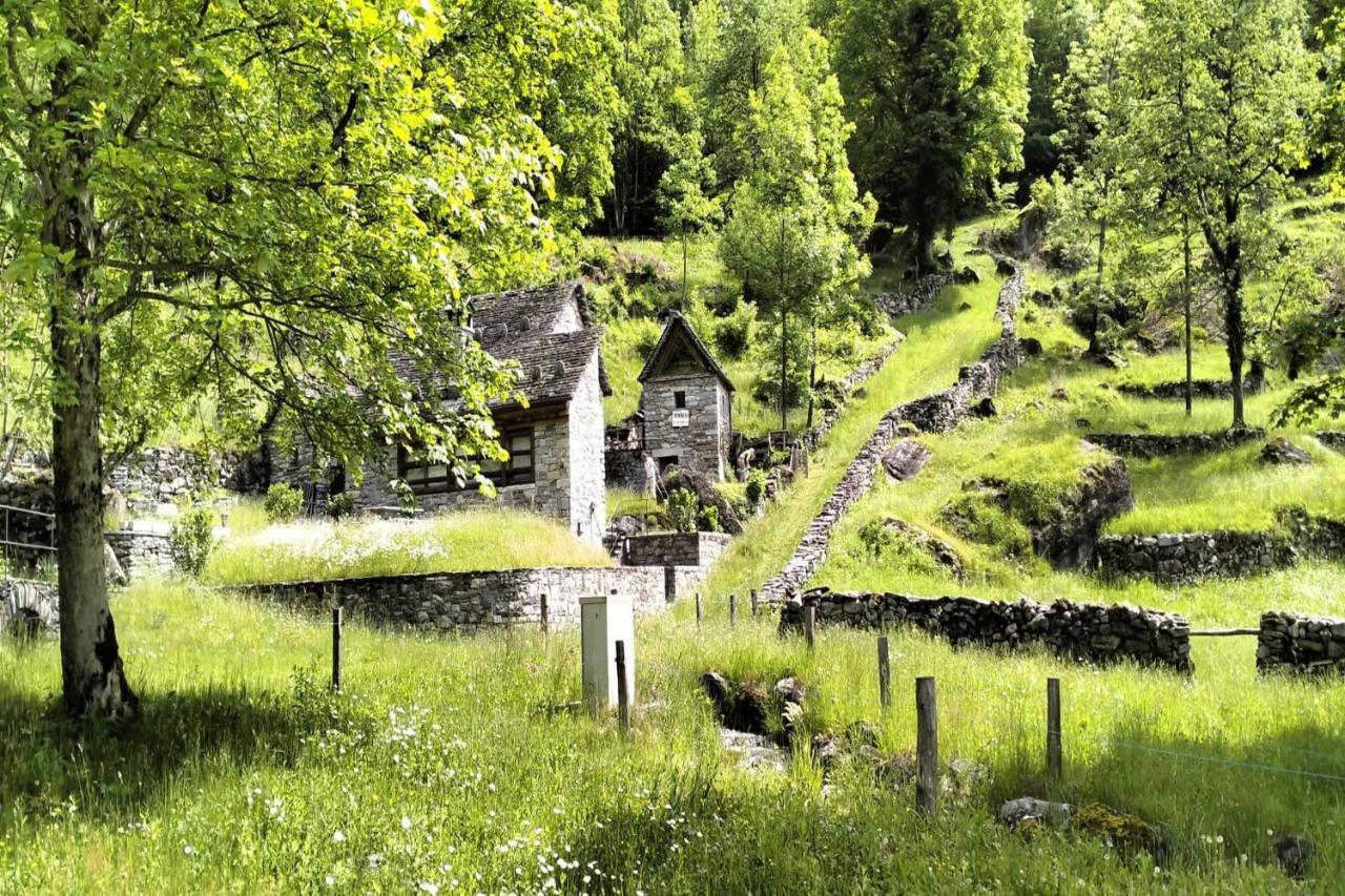 Residenza La Serenata Cavigliano Exteriör bild