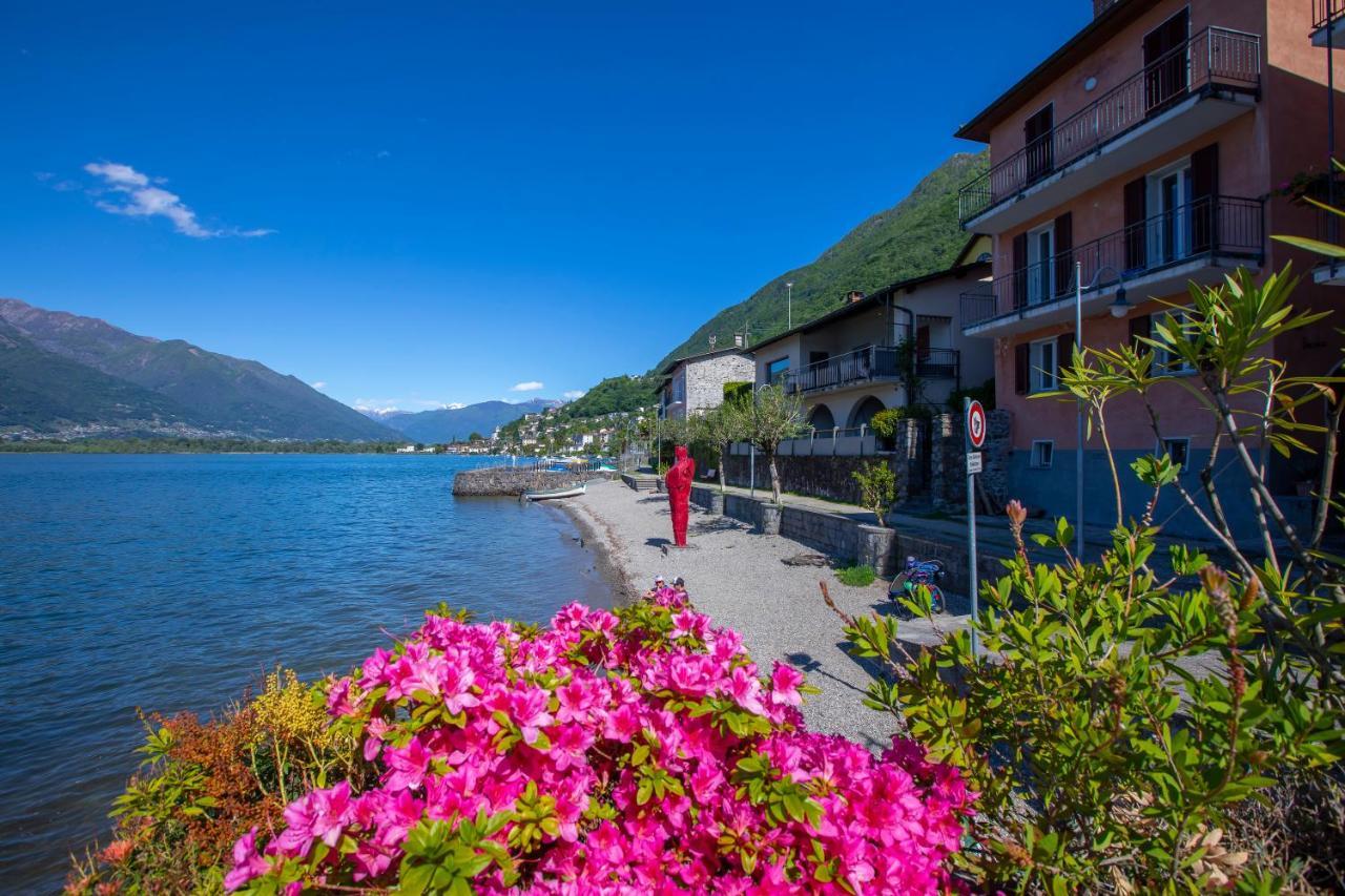 Residenza La Serenata Cavigliano Exteriör bild