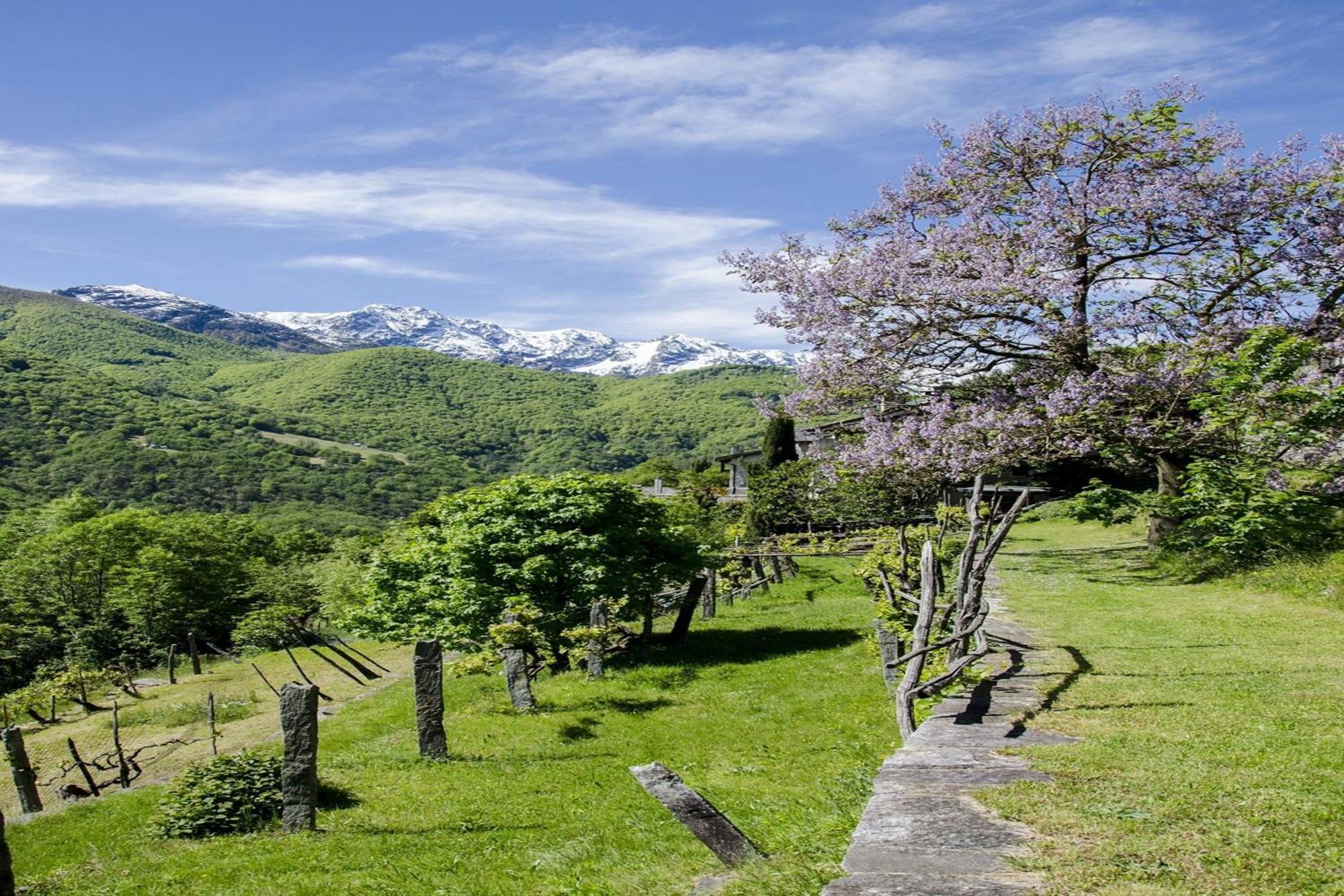 Residenza La Serenata Cavigliano Exteriör bild